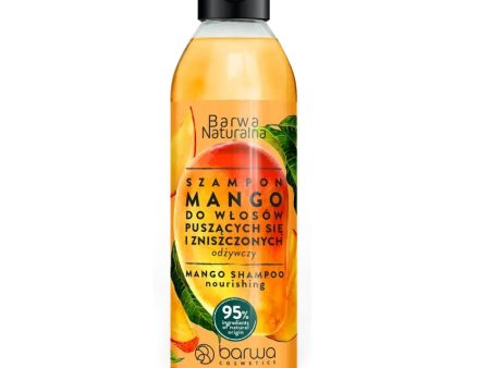 Szampon do włosów puszących się i zniszczonych Mango 300ml Online Sale